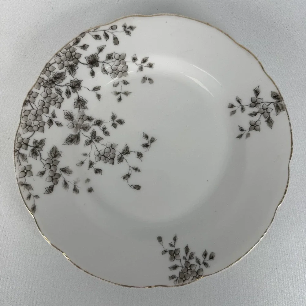 VINTAGE ANTIQUE CARLSBAD AUSTRIA BREAD/SALAD PLATE‎ SET OF 5